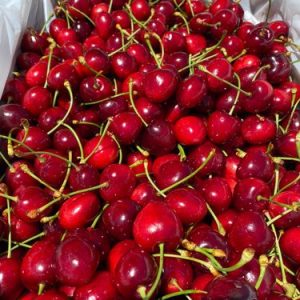 Grade A Fresh Cherries, Packaging Size: 2 Kg Carton
